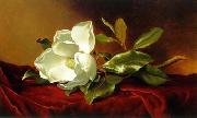 unknow artist Still life floral, all kinds of reality flowers oil painting 06 oil painting picture wholesale